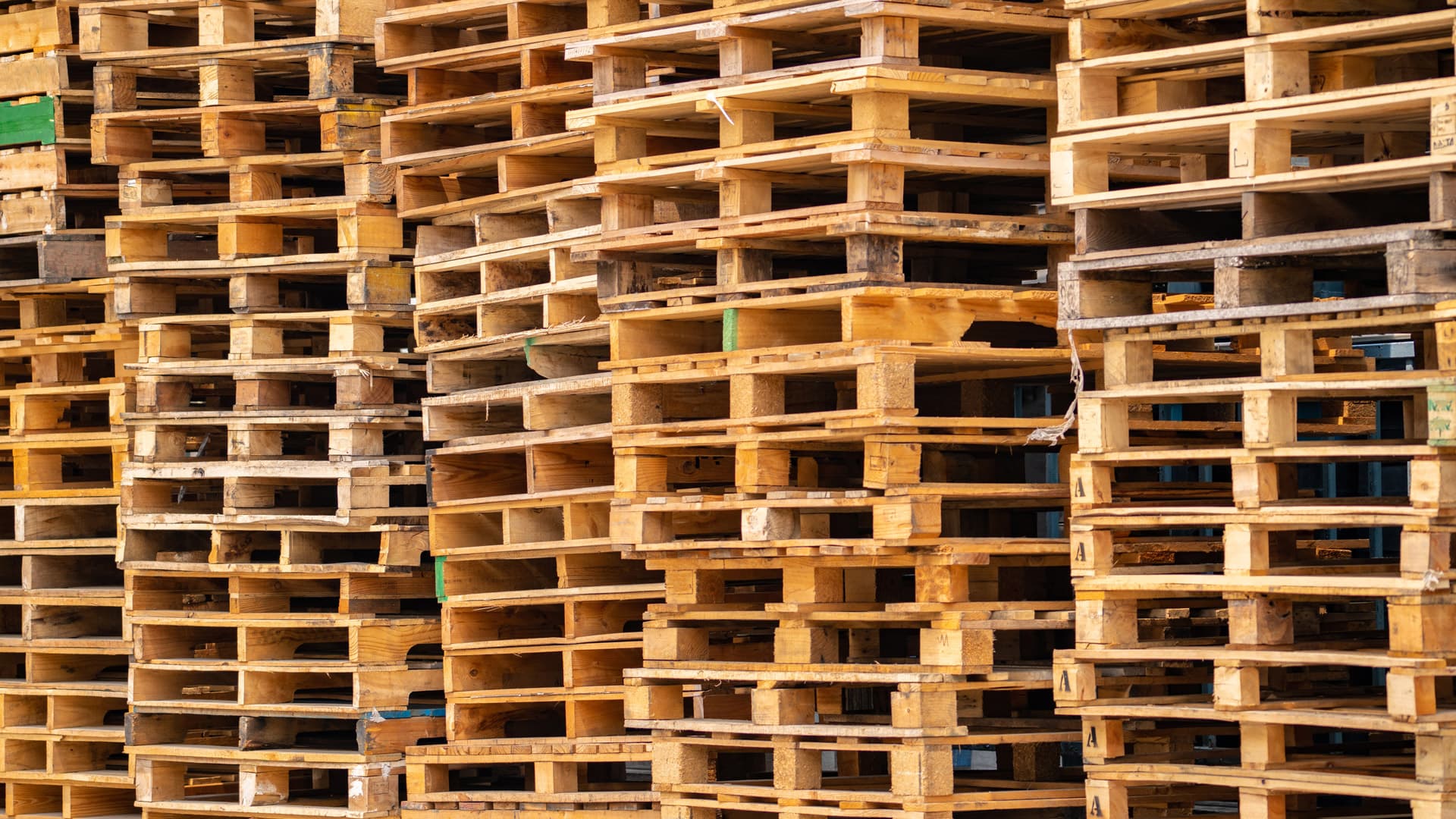 New pallets with design sampling