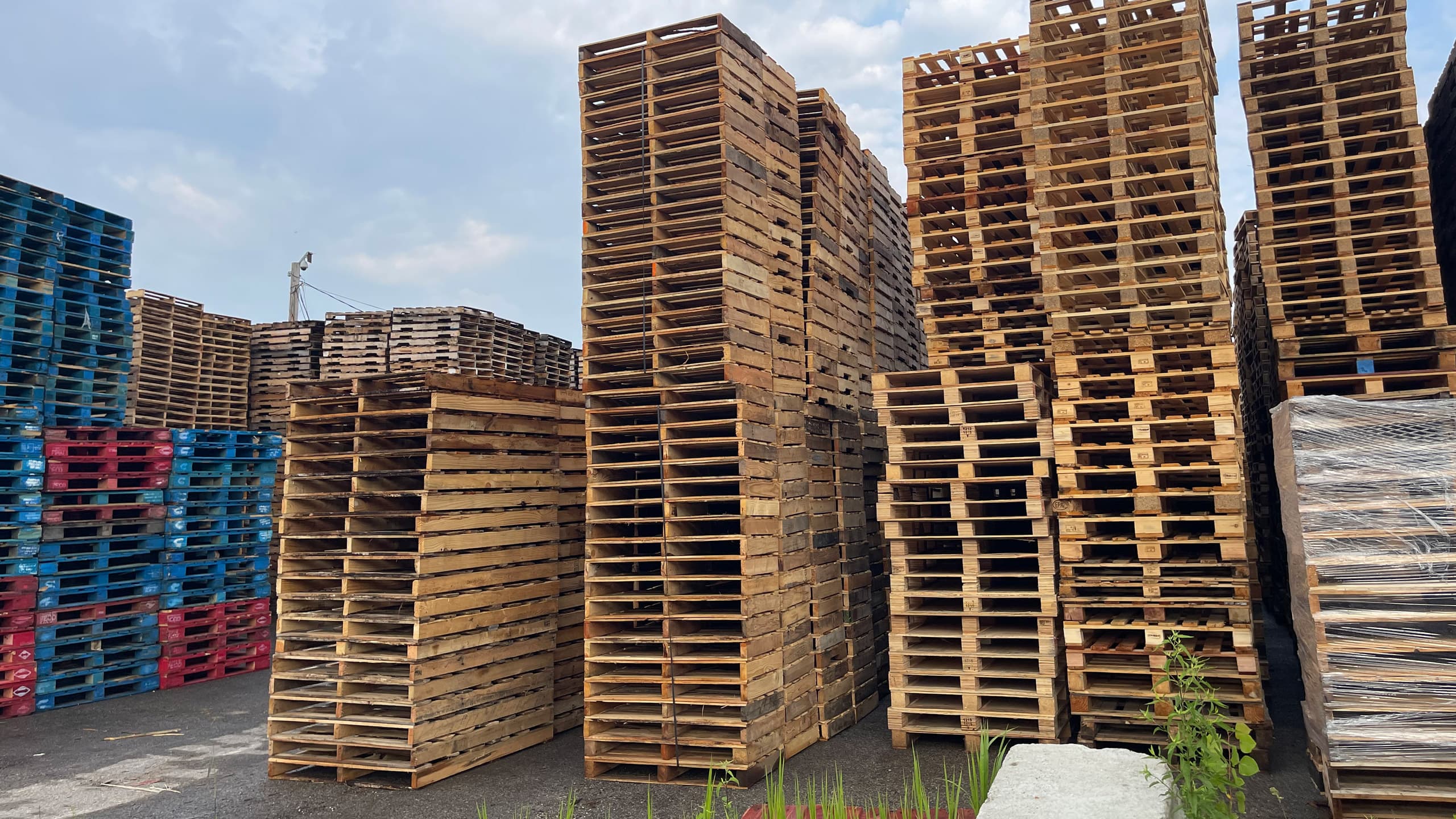 Specialized pallet services and programs from QCP Pallet Services